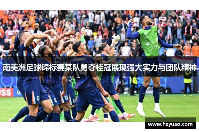南美洲足球锦标赛某队勇夺桂冠展现强大实力与团队精神