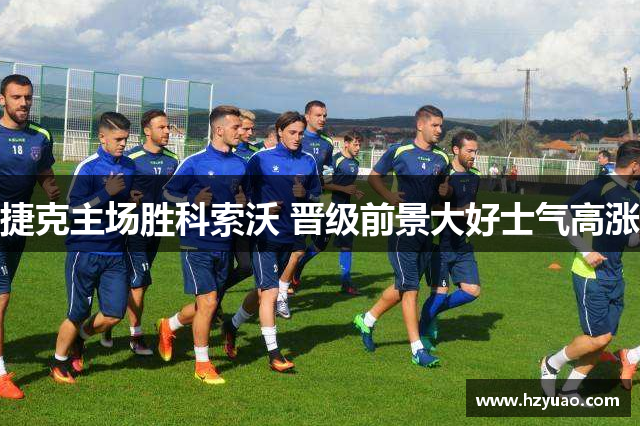 捷克主场胜科索沃 晋级前景大好士气高涨