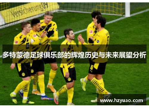 多特蒙德足球俱乐部的辉煌历史与未来展望分析