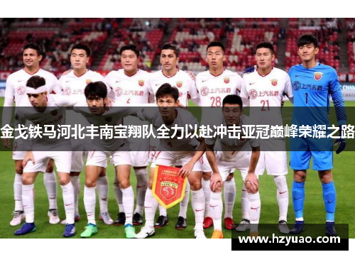 金戈铁马河北丰南宝翔队全力以赴冲击亚冠巅峰荣耀之路