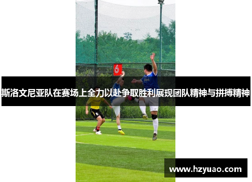 斯洛文尼亚队在赛场上全力以赴争取胜利展现团队精神与拼搏精神
