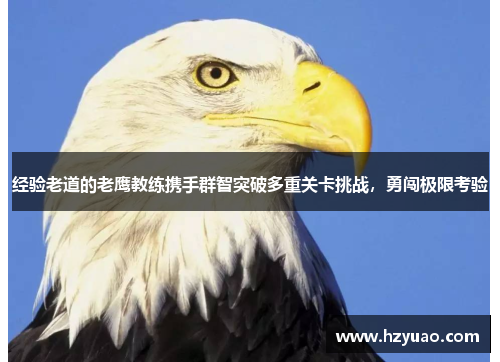 经验老道的老鹰教练携手群智突破多重关卡挑战，勇闯极限考验