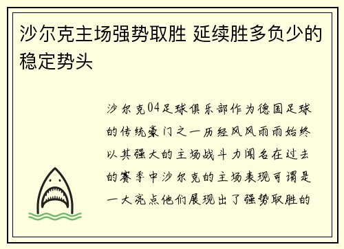 沙尔克主场强势取胜 延续胜多负少的稳定势头