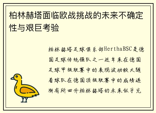 柏林赫塔面临欧战挑战的未来不确定性与艰巨考验