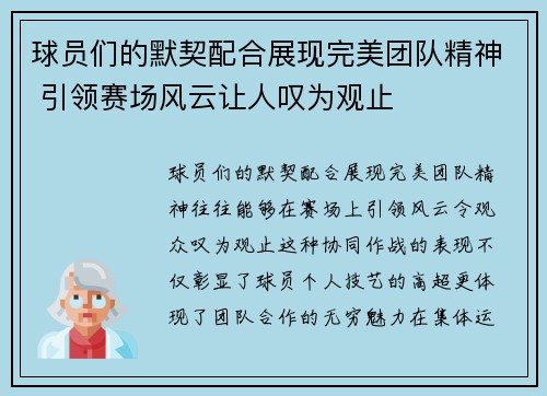 球员们的默契配合展现完美团队精神 引领赛场风云让人叹为观止