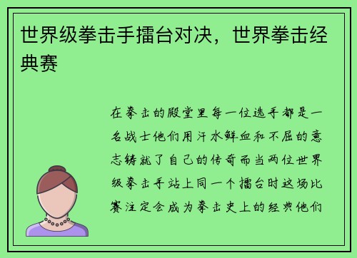 世界级拳击手擂台对决，世界拳击经典赛