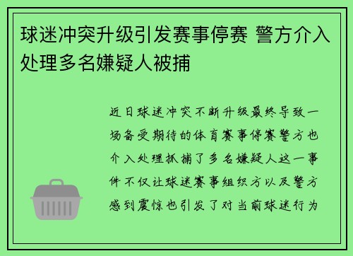 球迷冲突升级引发赛事停赛 警方介入处理多名嫌疑人被捕